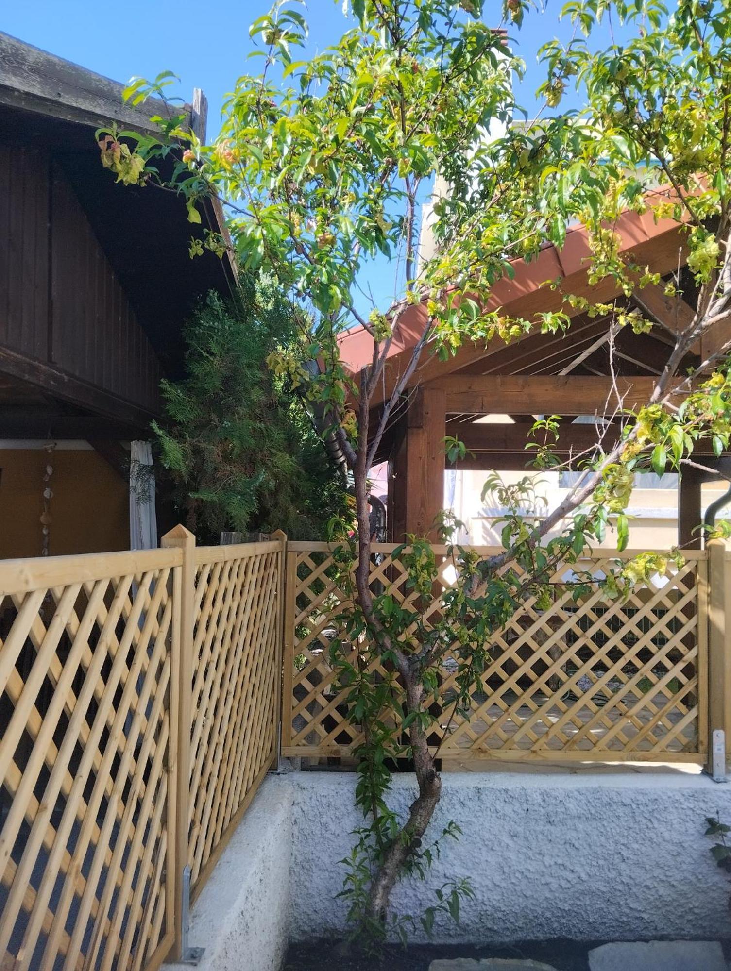 Theros Aegean Villa Nea Iraklitsa Екстериор снимка